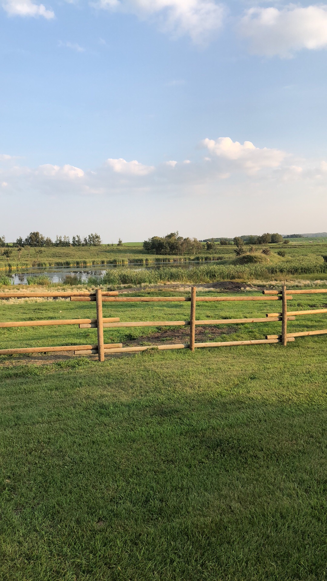 Pasture and wetlands at Ironjet Ranching